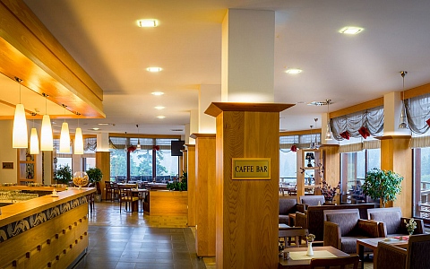 Hotel Bjelašnica Wellness & Spa - Trnovo - Restaurant-Bar