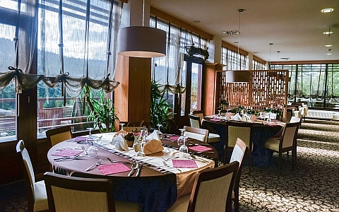 Hotel Bjelašnica Wellness & Spa - Trnovo - Restaurant-Bar