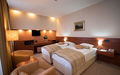 Hotel Central - Vitez - Rooms-Suites